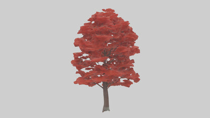 3D model Red Maple tree model VR / AR / low-poly
