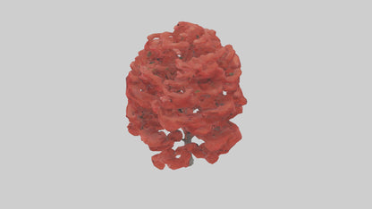 3D model Red Maple tree model VR / AR / low-poly