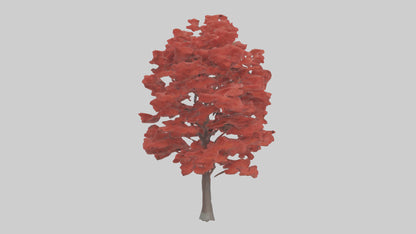 3D model Red Maple tree model VR / AR / low-poly