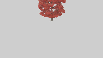 3D model Red Maple tree model VR / AR / low-poly