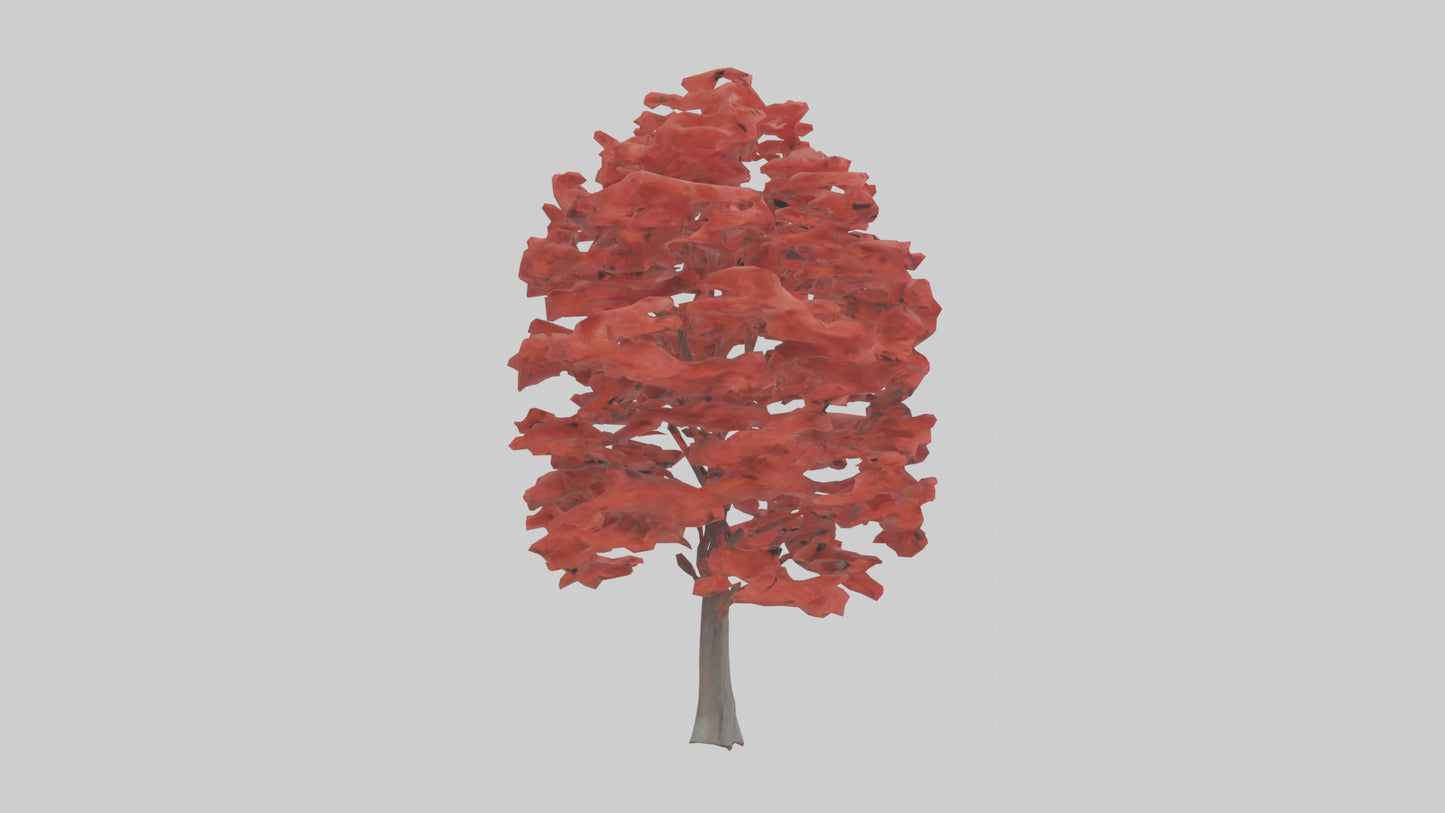 3D model Red Maple tree model VR / AR / low-poly