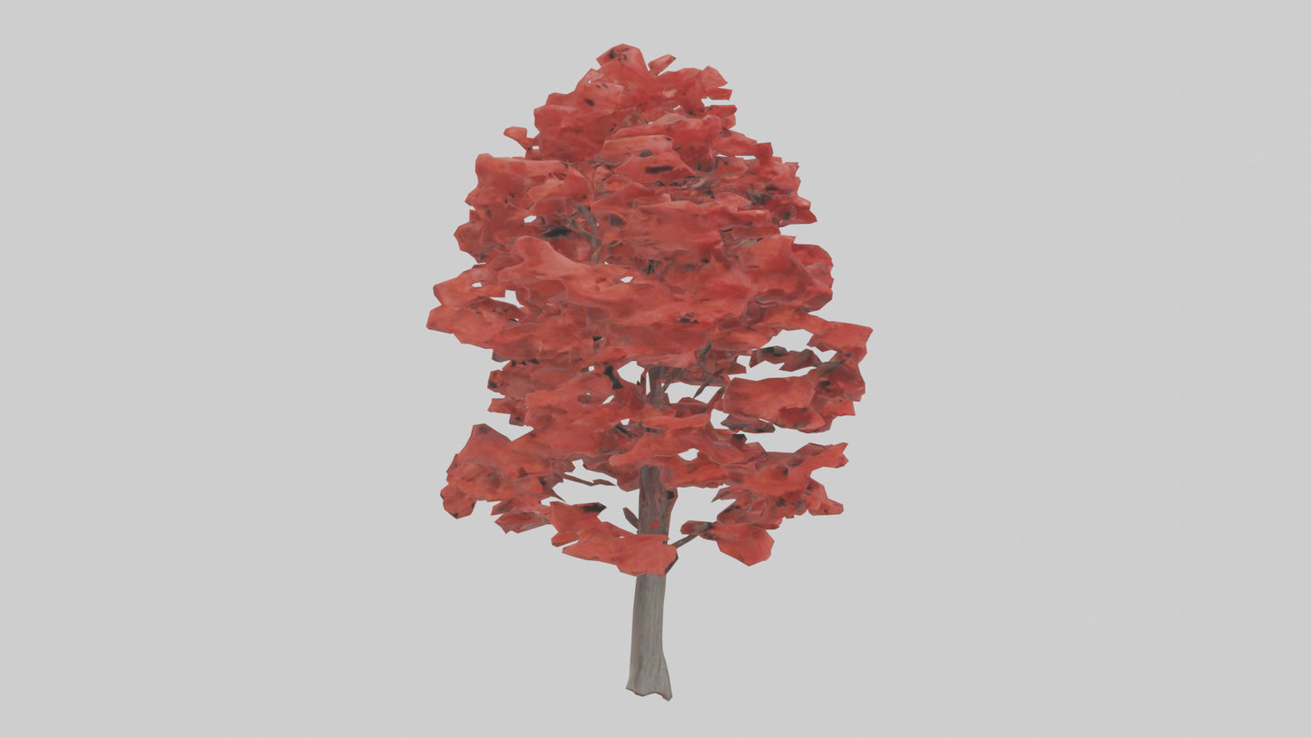 3D model Red Maple tree model VR / AR / low-poly