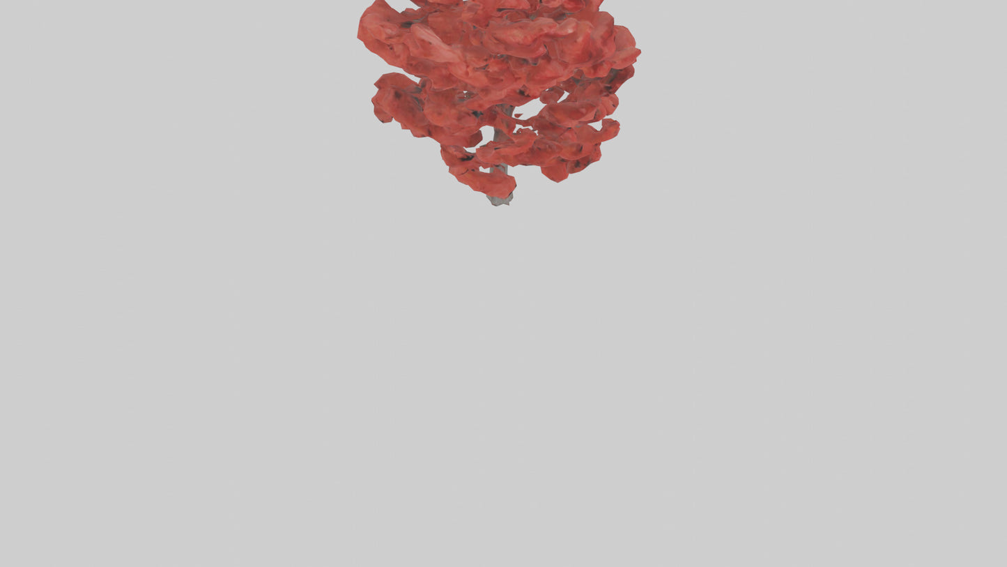 3D model Red Maple tree model VR / AR / low-poly