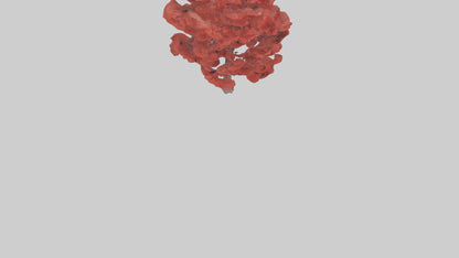 3D model Red Maple tree model VR / AR / low-poly