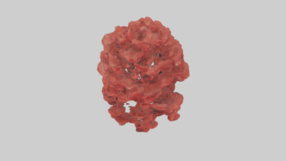 3D model Red Maple tree model VR / AR / low-poly