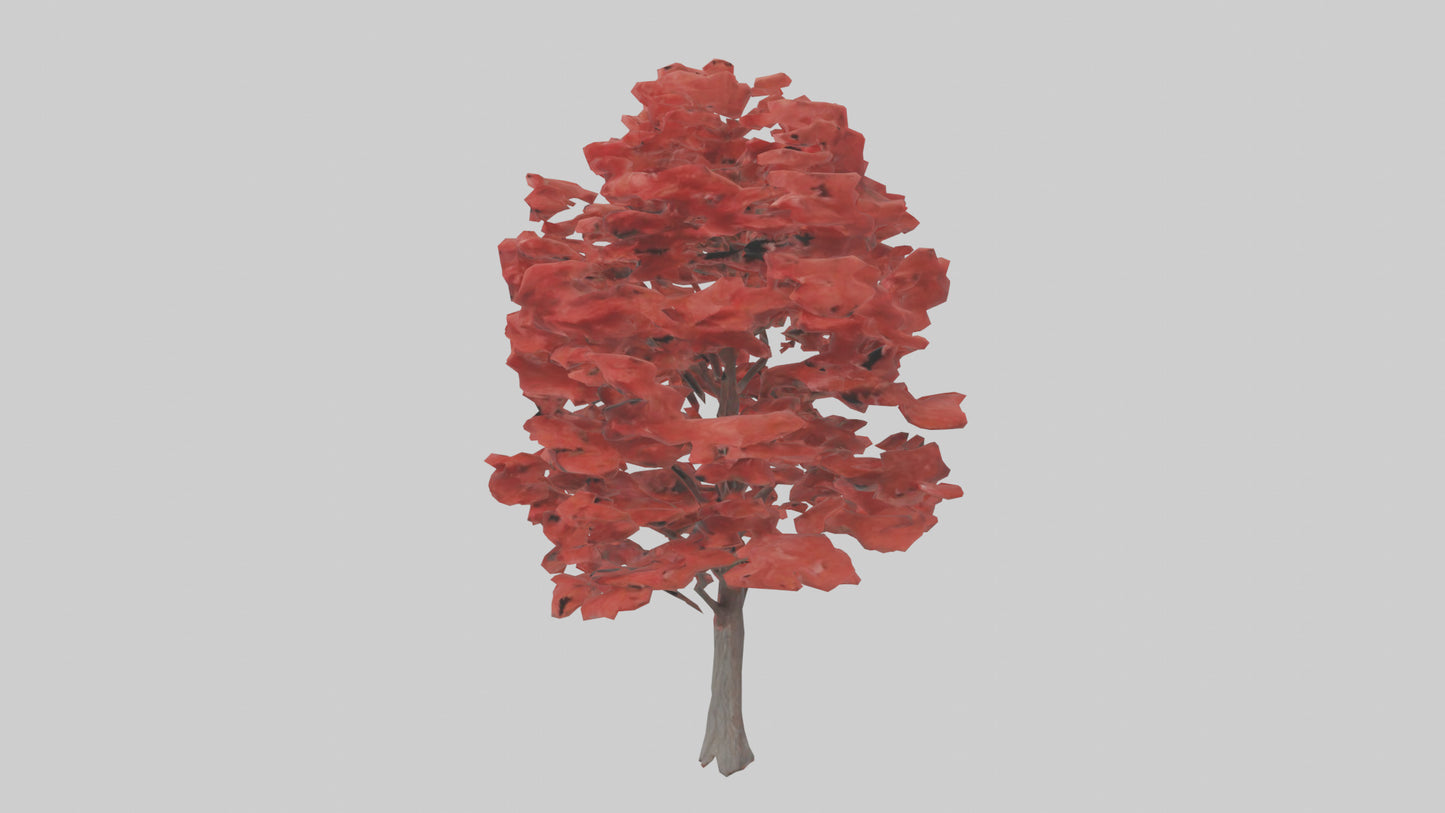 3D model Red Maple tree model VR / AR / low-poly