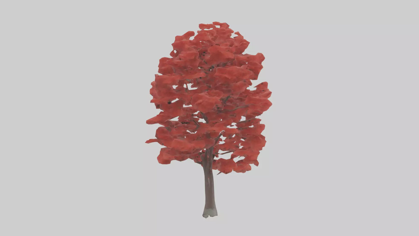 3D model Red Maple tree model VR / AR / low-poly