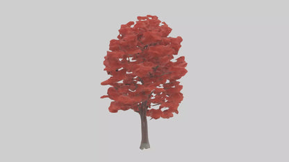 3D model Red Maple tree model VR / AR / low-poly