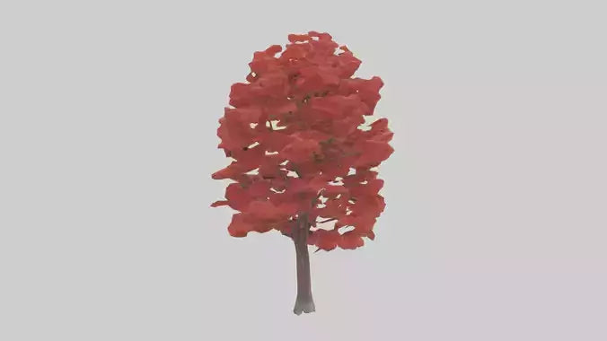 3D model Red Maple tree model VR / AR / low-poly