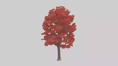3D model Red Maple tree model VR / AR / low-poly