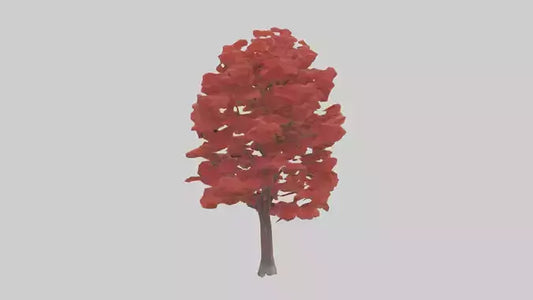 3D model Red Maple tree model VR / AR / low-poly