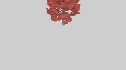 3D model Red Maple tree model VR / AR / low-poly