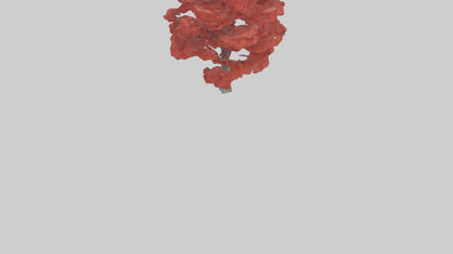 3D model Red Maple tree model VR / AR / low-poly