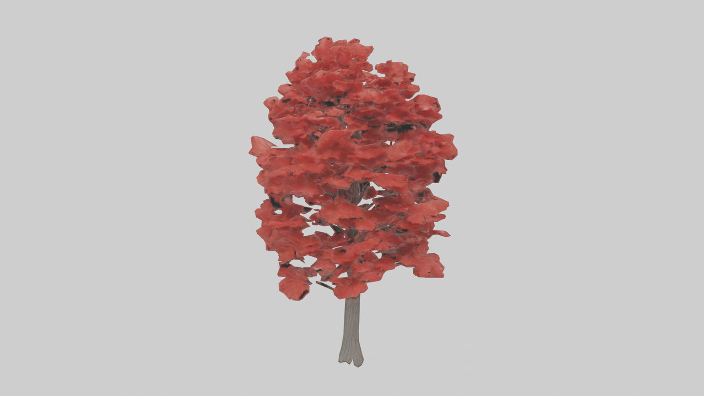3D model Red Maple tree model VR / AR / low-poly