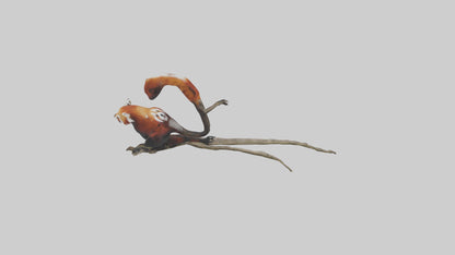 Red Panda climbing model VR / AR / low-poly