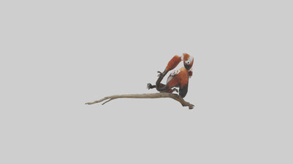 Red Panda climbing model VR / AR / low-poly