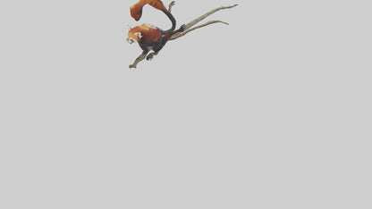Red Panda climbing model VR / AR / low-poly