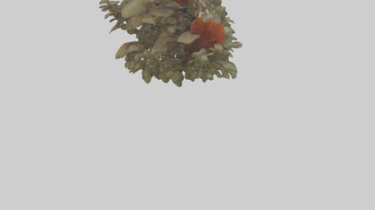 Red Panda hiding model VR / AR / low-poly