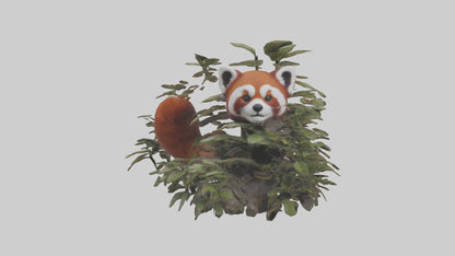Red Panda hiding model VR / AR / low-poly