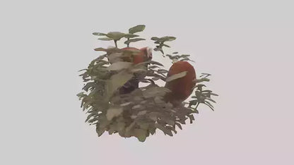 Red Panda hiding model VR / AR / low-poly