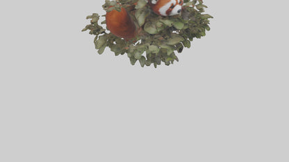 Red Panda hiding model VR / AR / low-poly