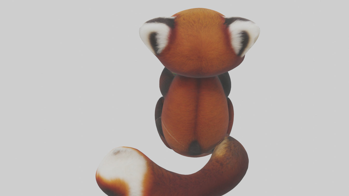 Red Panda playing model VR / AR / low-poly