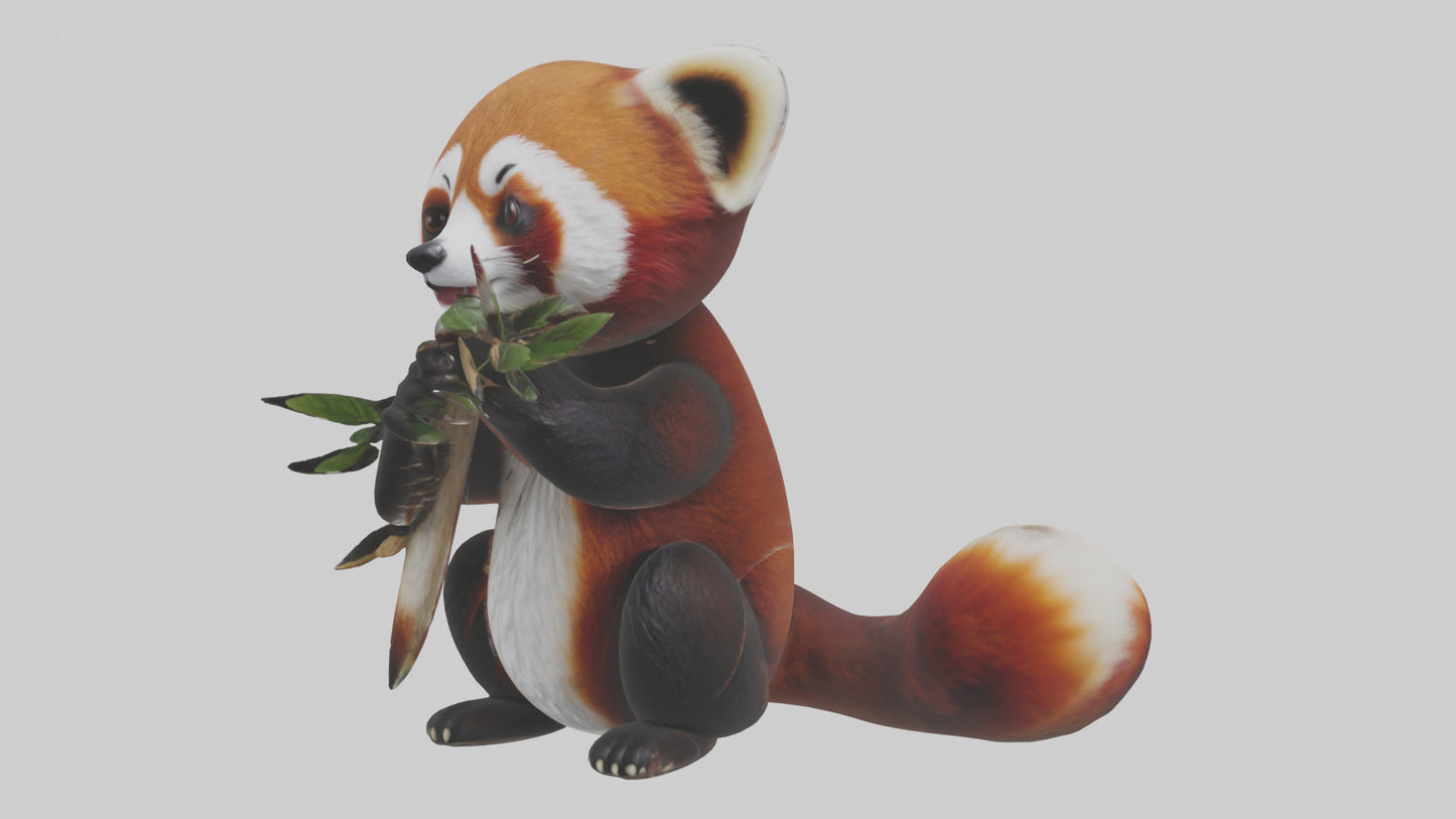 Red Panda playing model VR / AR / low-poly