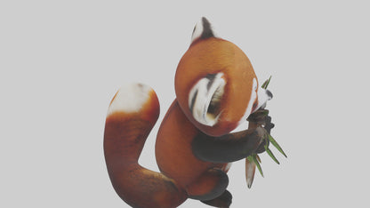 Red Panda playing model VR / AR / low-poly