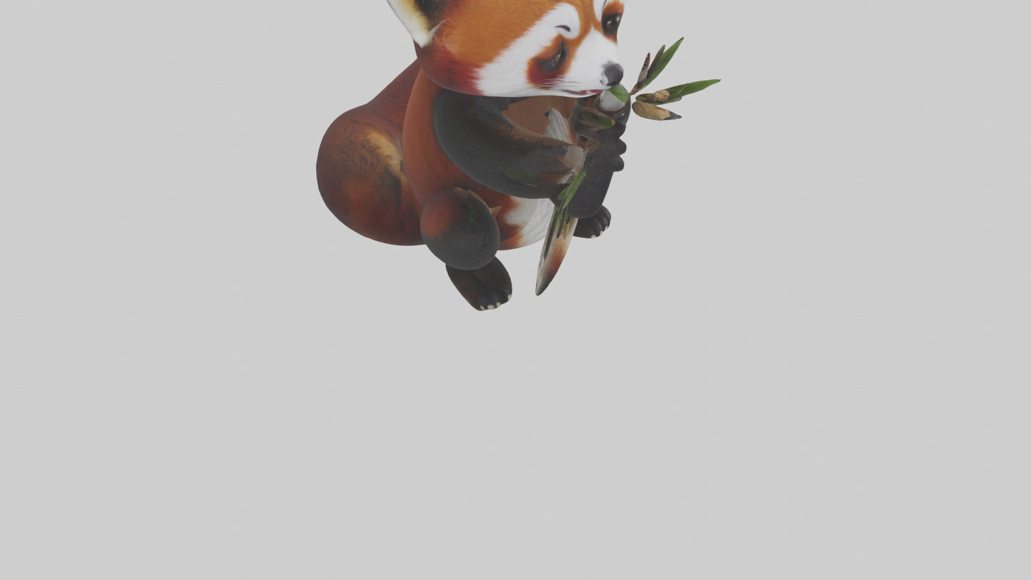 Red Panda playing model VR / AR / low-poly