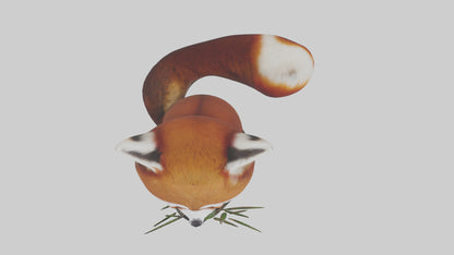 Red Panda playing model VR / AR / low-poly