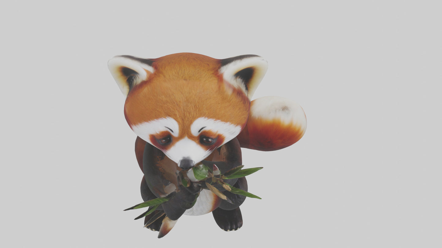 Red Panda playing model VR / AR / low-poly