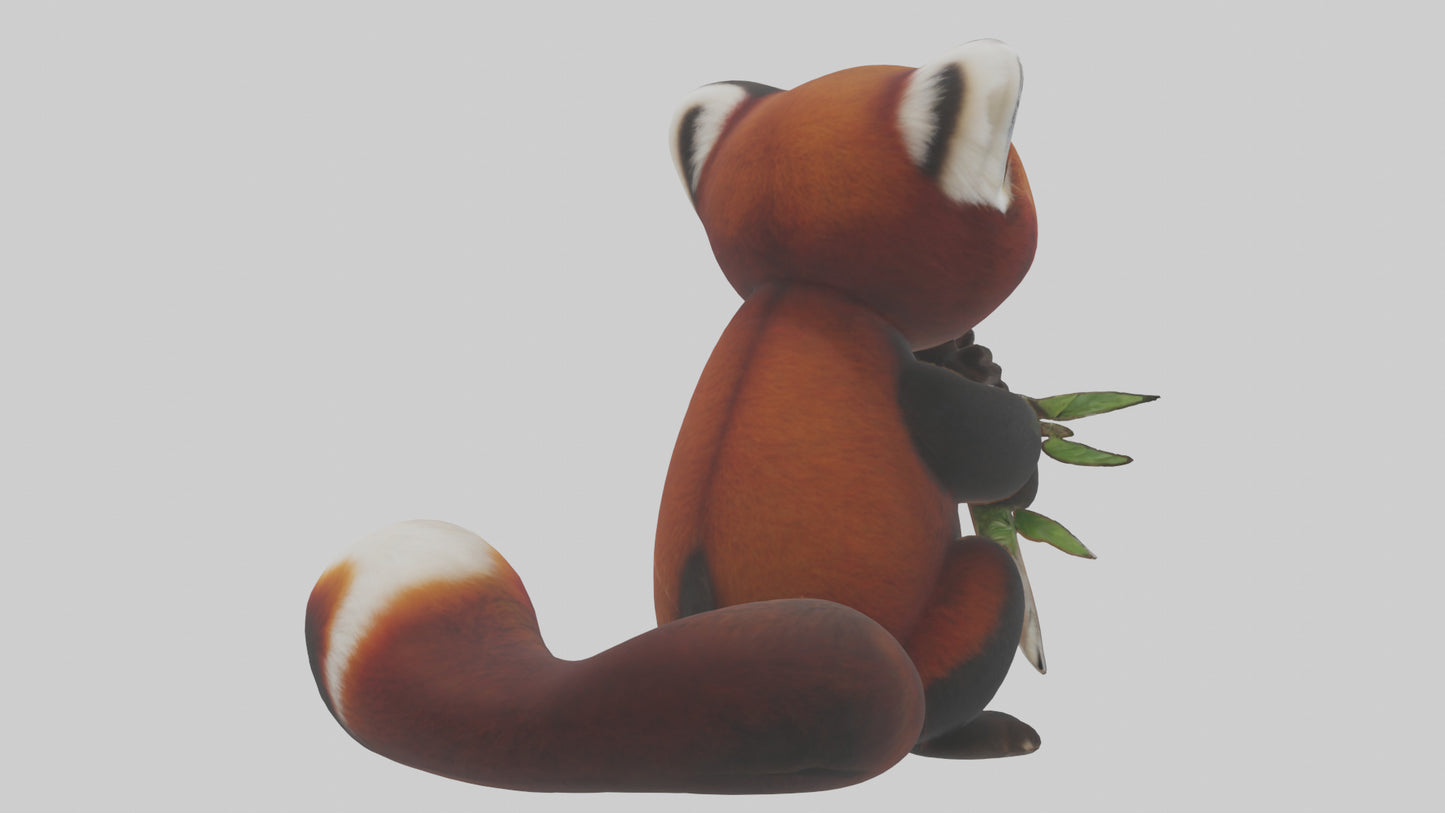 Red Panda playing model VR / AR / low-poly