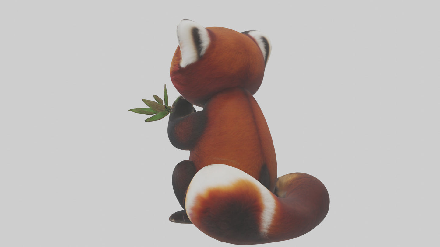 Red Panda playing model VR / AR / low-poly