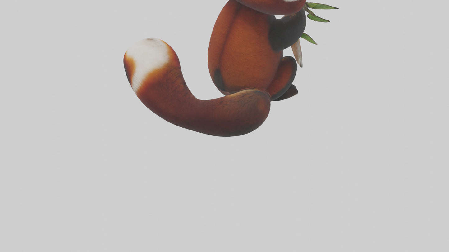 Red Panda playing model VR / AR / low-poly