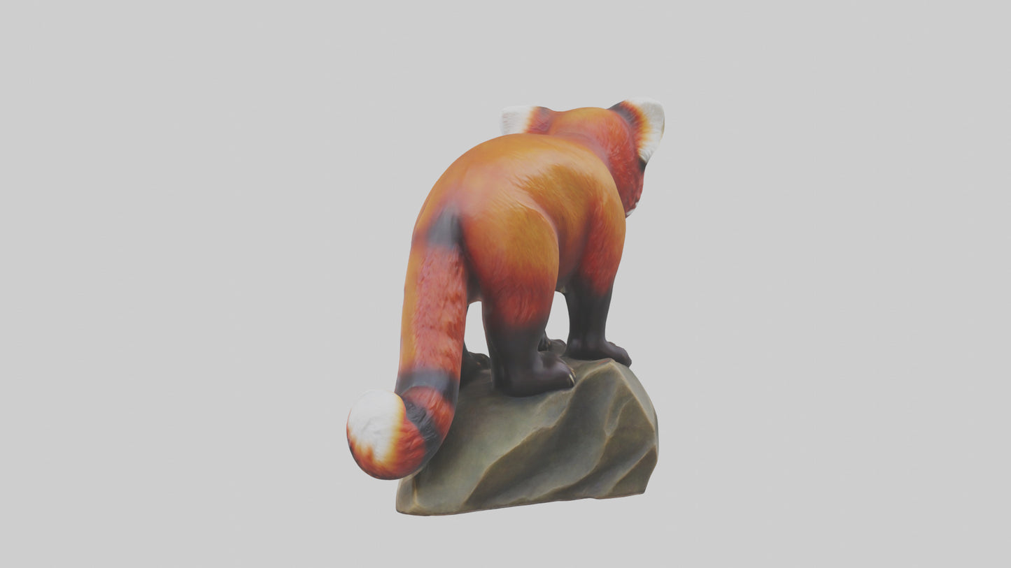 3D model Red Panda statue model VR / AR / low-poly