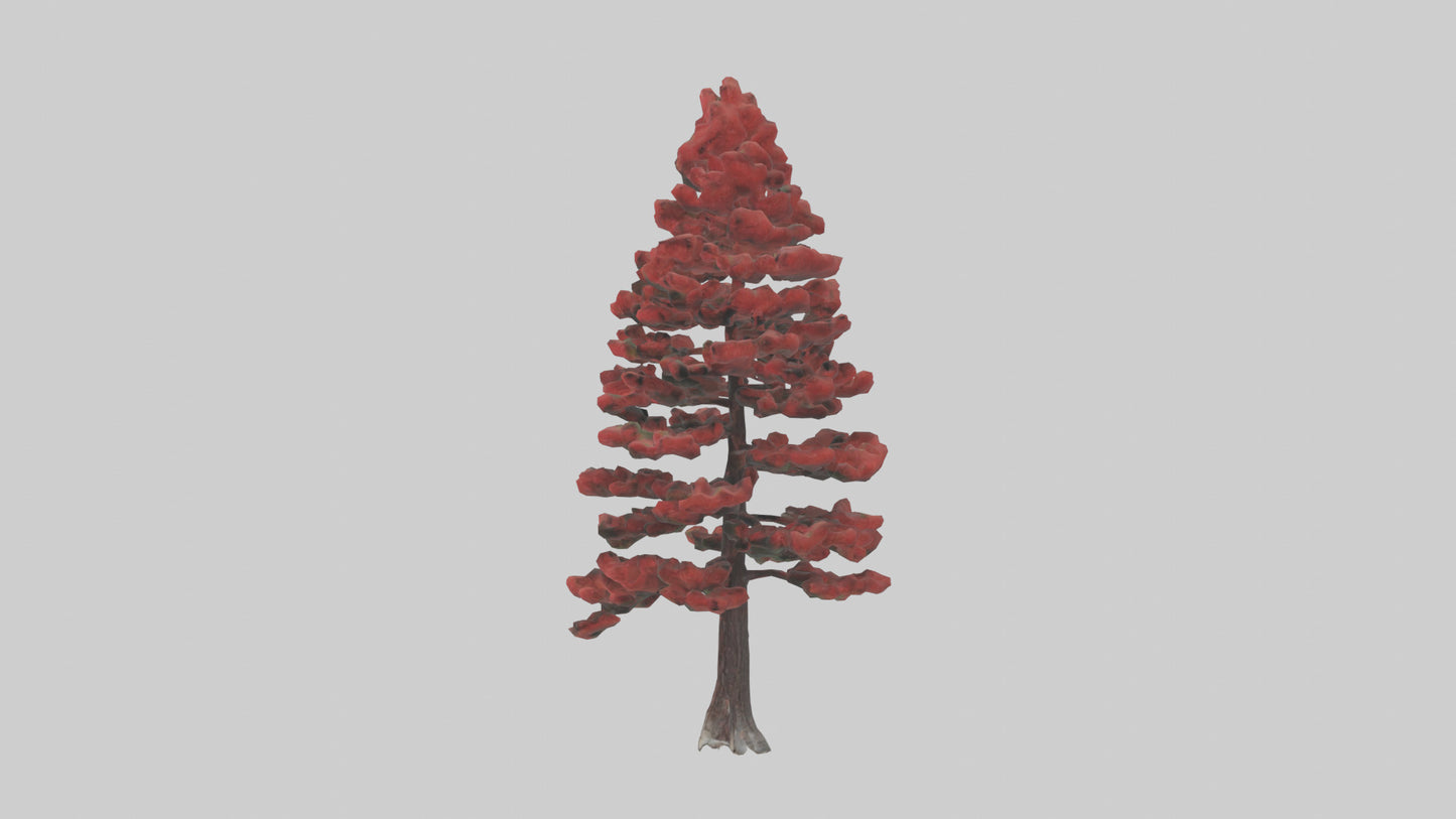 3D model Red Pine tree model VR / AR / low-poly