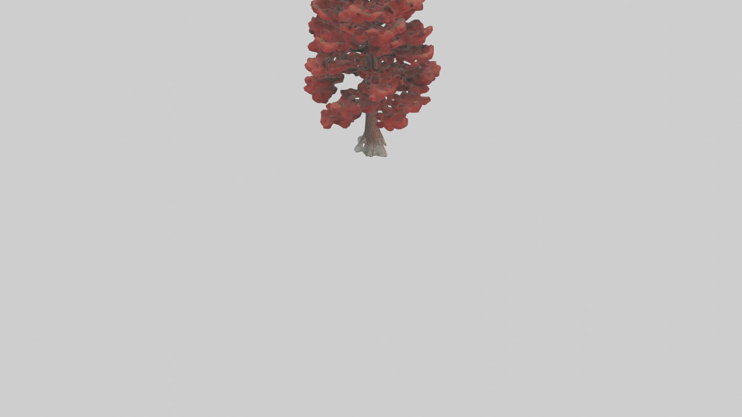 3D model Red Pine tree model VR / AR / low-poly