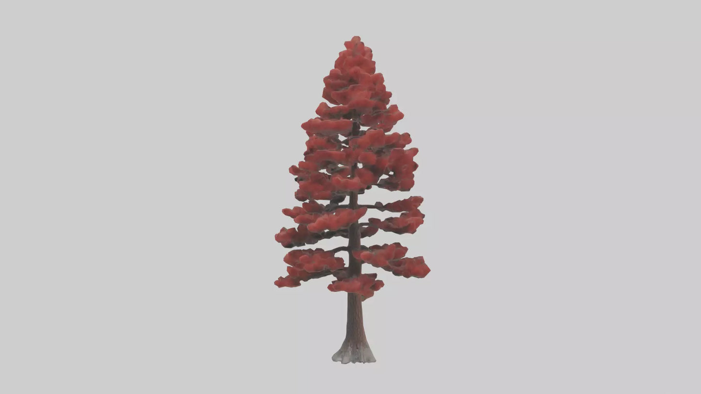 3D model Red Pine tree model VR / AR / low-poly