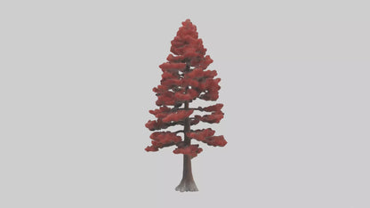 3D model Red Pine tree model VR / AR / low-poly