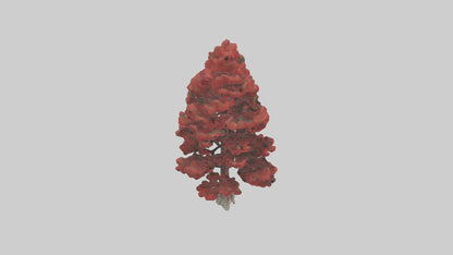 3D model Red Pine tree model VR / AR / low-poly