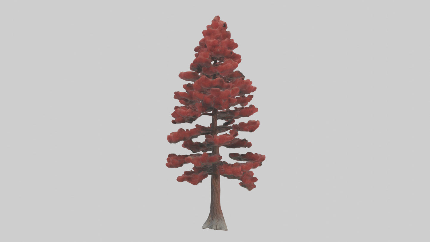 3D model Red Pine tree model VR / AR / low-poly