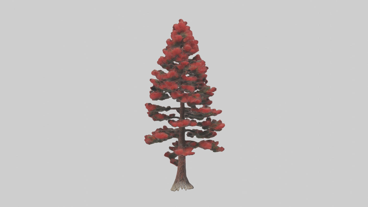 3D model Red Pine tree model VR / AR / low-poly