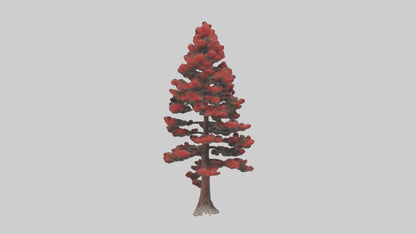 3D model Red Pine tree model VR / AR / low-poly