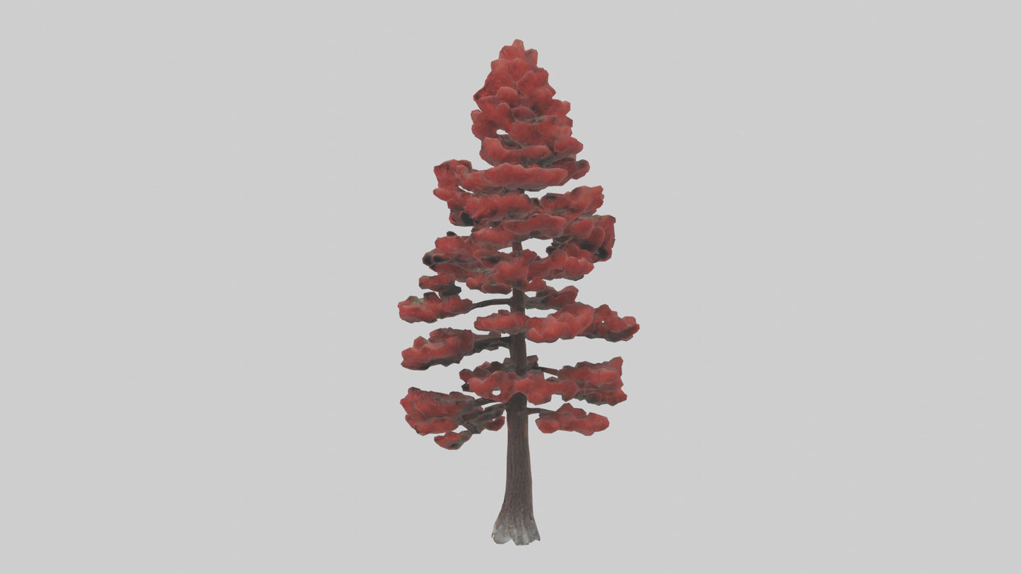 3D model Red Pine tree model VR / AR / low-poly