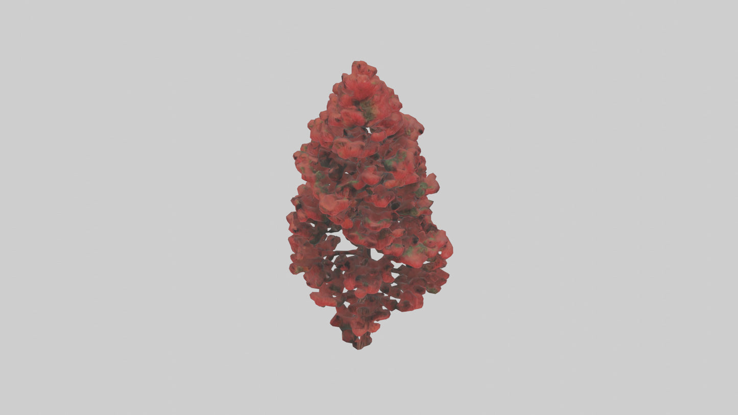 3D model Red Pine tree model VR / AR / low-poly