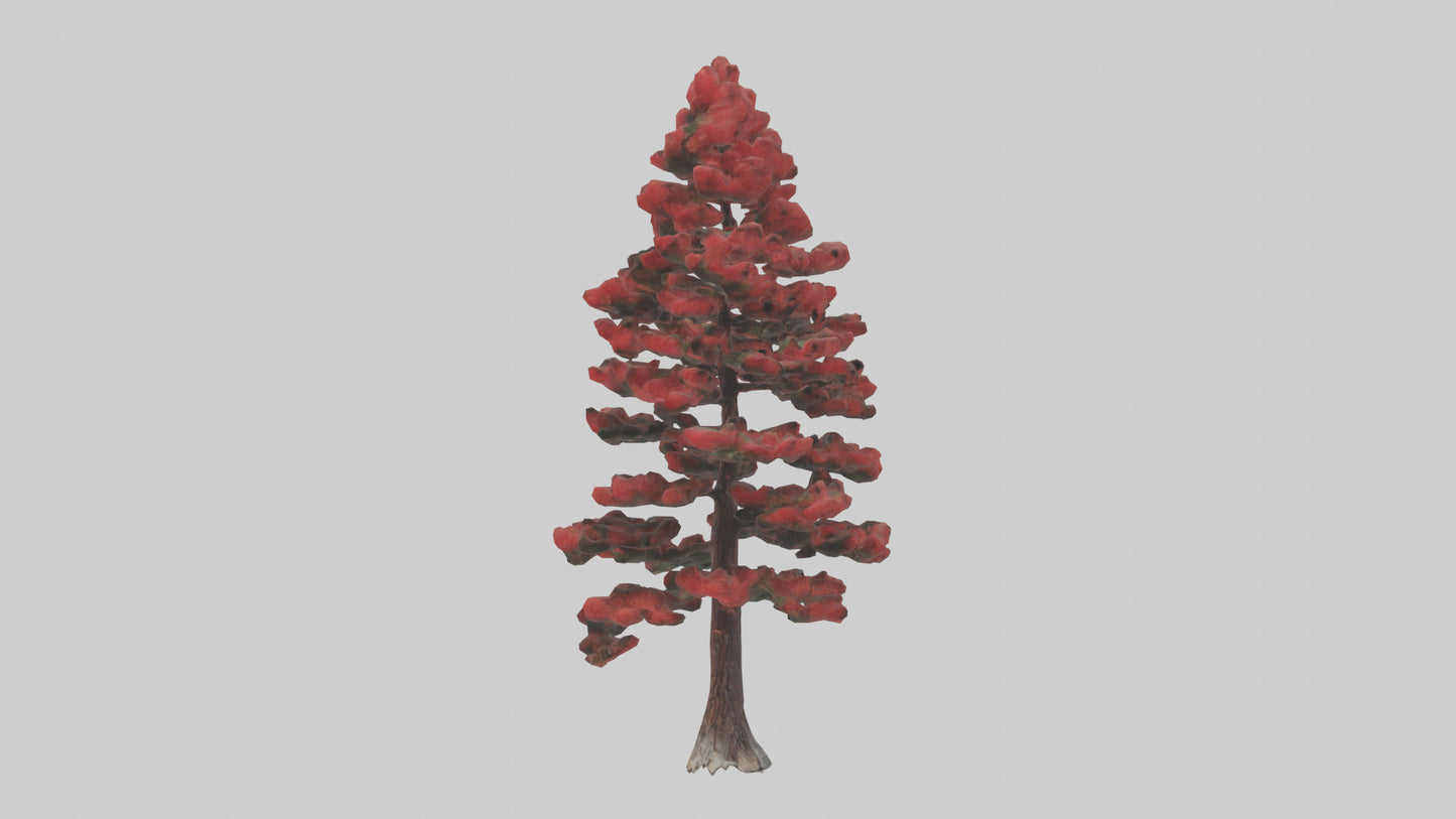 3D model Red Pine tree model VR / AR / low-poly