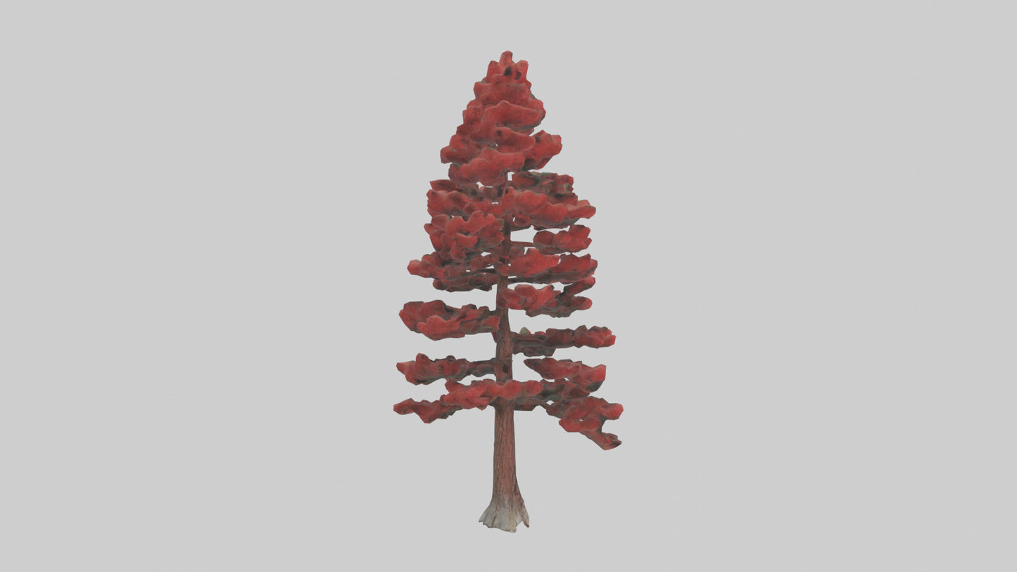 3D model Red Pine tree model VR / AR / low-poly
