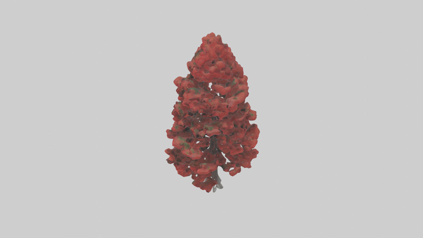 3D model Red Pine tree model VR / AR / low-poly
