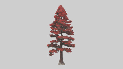 3D model Red Pine tree model VR / AR / low-poly