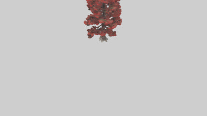 3D model Red Pine tree model VR / AR / low-poly
